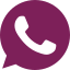 WhatsApp Contact